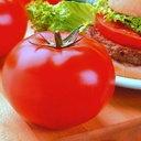 [69-9094-501] Semences tomate rouge