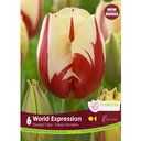 Bulbes : Tulipe - World expression - Triomphe