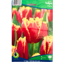 Bulbes : Tulipe - Fabio - Fringed