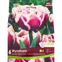Bulbes : Tulipe - Wyndham - Double Paeonia