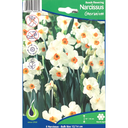 Bulbes : Narcisse - Geranium - Bunch Flowering