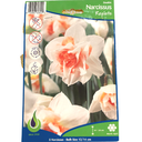 Bulbes : Narcisse - Replete - Double