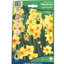 Bulbes : Narcisse - Martinette - Bunch flowering