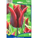 Bulbes : Tulipe - Lasting Love - Lily Flowering