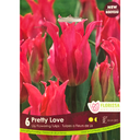 Bulbes : Tulipe - Pretty Love - Fleur de Lis