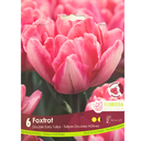 Bulbes : Tulipe - Foxtrot - Double hâtive