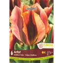 Bulbes : Tulipe - Artist - Viridiflora