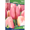 Bulbes : Tulipe - Pink Impression - Darwin Hybrid