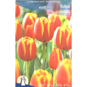 Bulbes : Tulipe - World's Favorite - Darwin Hybrid