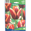 Bulbes : Tulipe - Slawa - Triumph