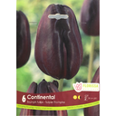 Bulbes : Tulipe - Continental - Triumph