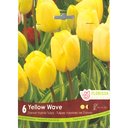 Bulbes : Tulipe - Yellow Wave - Hybride de Darwin