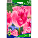 Bulbes : Tulipe - Fancy Frills - Fringed