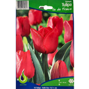 Bulbes : Tulipe - Ile De France - Triumph