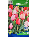 [035896615540] Bulbes : Tulipe - Impression Mixture (25 Bulbes)