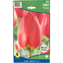 Bulbes : Tulipe - Parade (25 Bulbes)