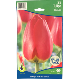 Bulbes : Tulipe - Parade