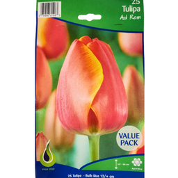 Bulbes : Tulipe - Ad Rem