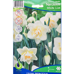 Bulbes : Narcisse - White Lion - Double