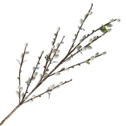 [XM-HN1191] Branche décorative - Willow