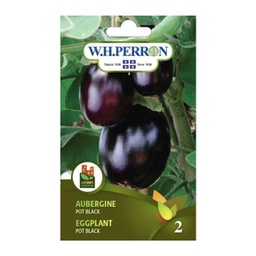 [69-0622-502] Semences aubergine Pot Black