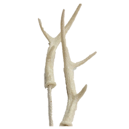 [102439] Branche décorative: Bois de cerf blanc
