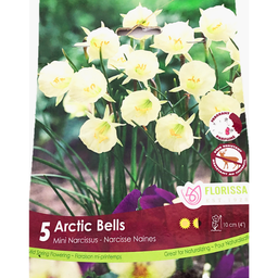 Bulbes : Narcisse - Arctic Bells - Naine