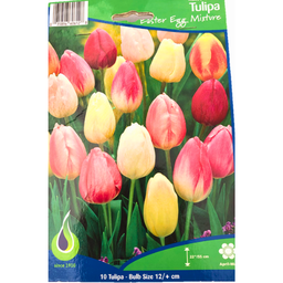 Bulbes : Tulipe - Easter Egg Mixture