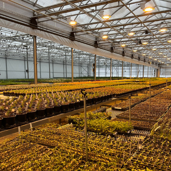 Vrac _ Terreau de plantation 