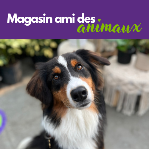 Magasin ami des animaux
