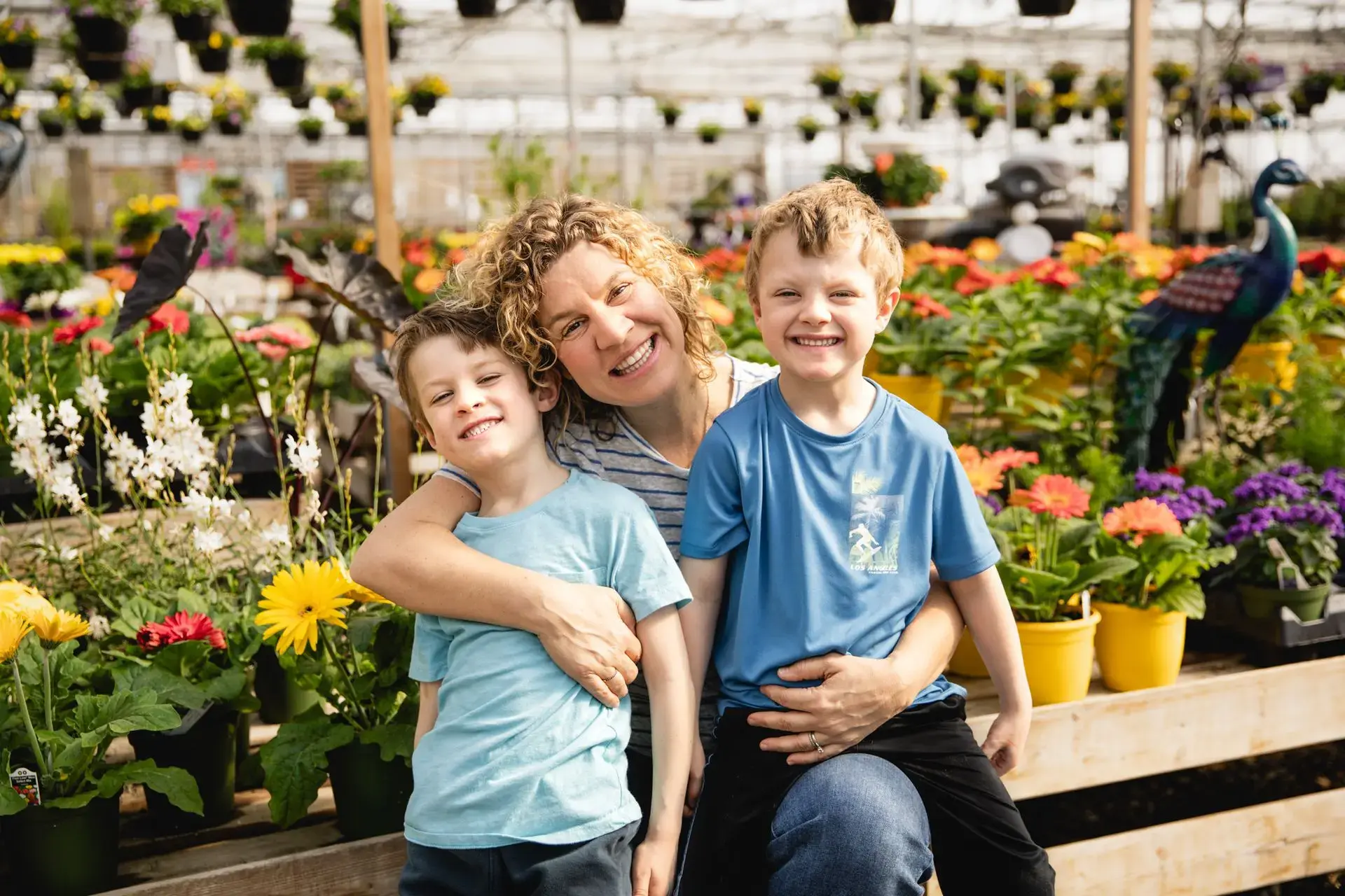 Serres St-Élie_À propos de nous_Centre de production_Horticulture_Fleurs et Végétaux_Mélanie Grégoire Serres St-Élie_À propos de nous_Centre de production_Horticulture_Fleurs et Végétaux_Mélanie Grégoire