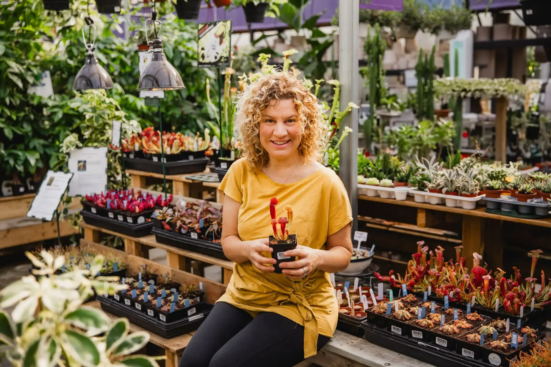 Serres St-Élie_À propos de nous_Centre de production_Horticulture_Fleurs et Végétaux_Mélanie Grégoire Serres St-Élie_À propos de nous_Centre de production_Horticulture_Fleurs et Végétaux_Mélanie Grégoire