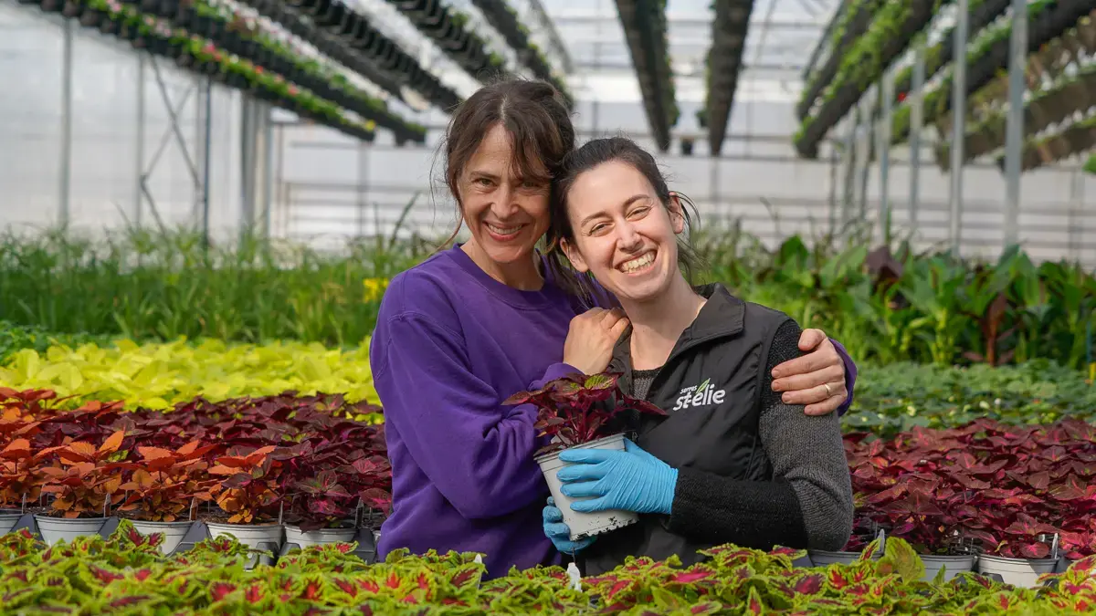 Serres St-Élie_À propos de nous_Centre de production_Horticulture_Fleurs et Végétaux Serres St-Élie_À propos de nous_Centre de production_Horticulture_Fleurs et Végétaux