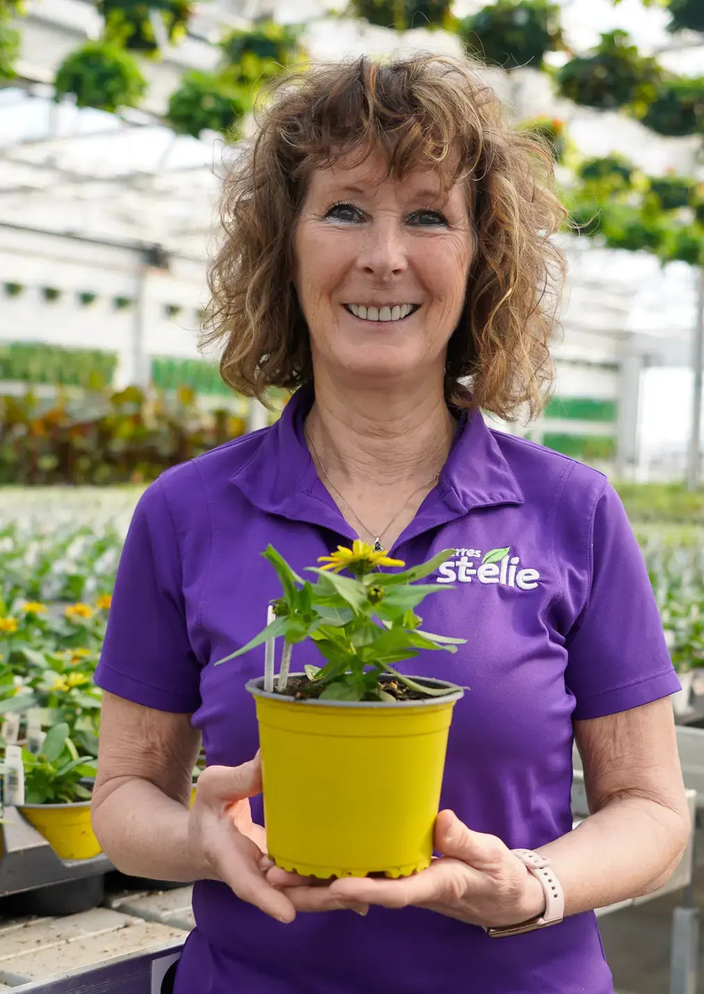 Serres St-Élie_À propos de nous_Centre de production_Horticulture_Fleurs et Végétaux Serres St-Élie_À propos de nous_Centre de production_Horticulture_Fleurs et Végétaux