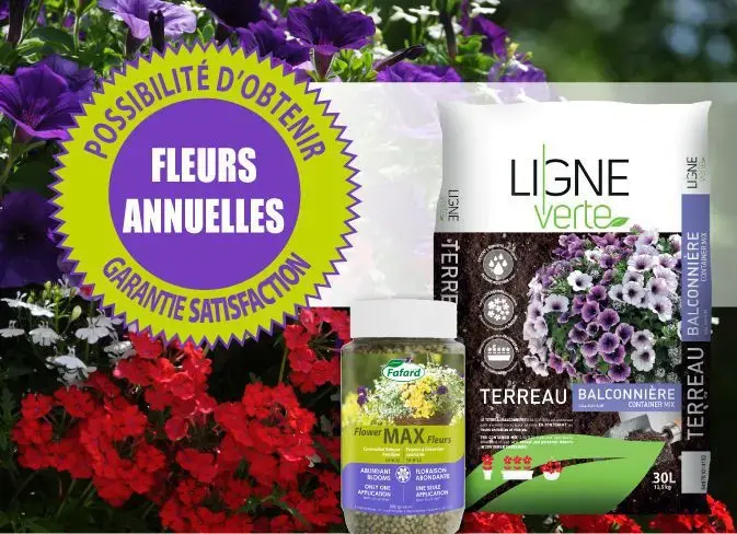 Serres St-Élie_Politique de garantie_Fleurs annuelles Serres St-Élie_Politique de garantie_Fleurs annuelles
