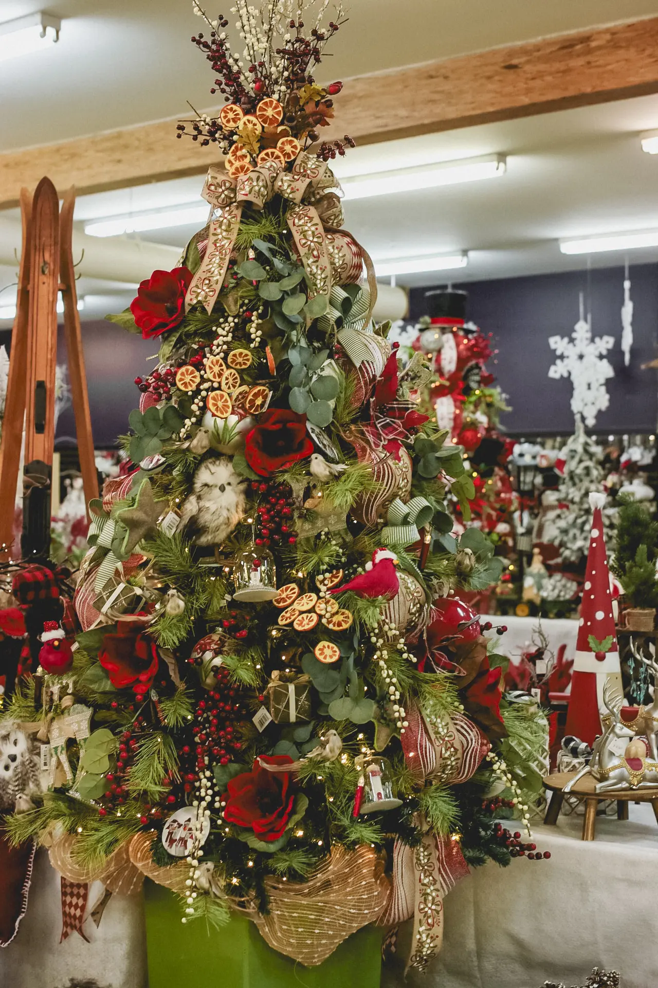 Accueil_Noël_Sapin_Décoration_Serres St-élie