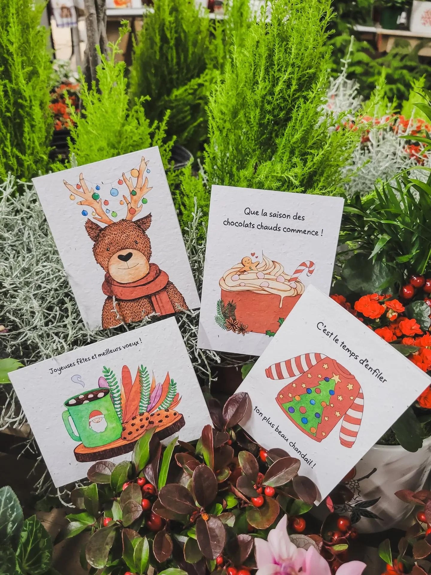 Accueil_Noël_Carte_Serres St-élie