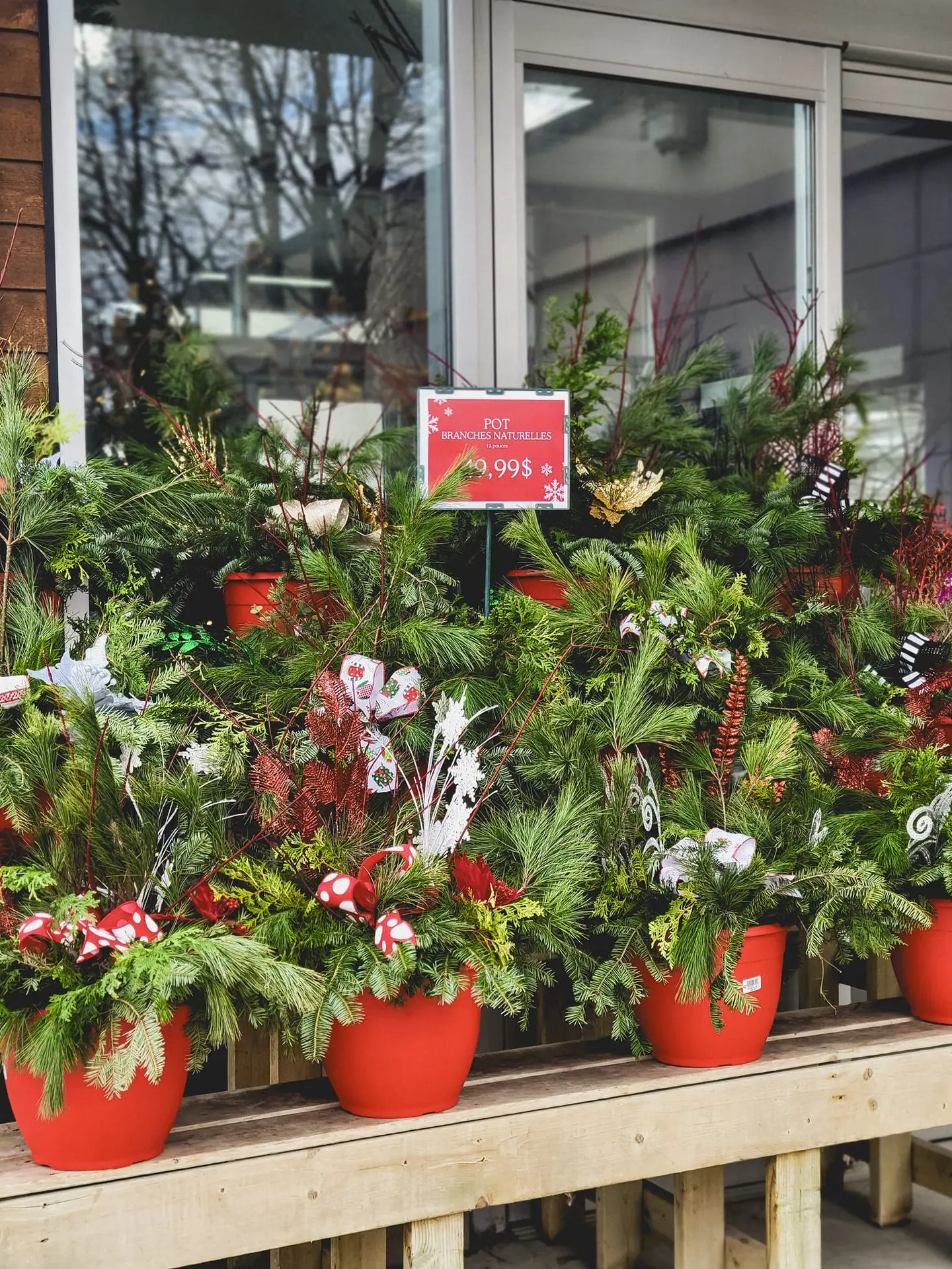 Accueil_Noël_Pot décoratif_Serres St-élie