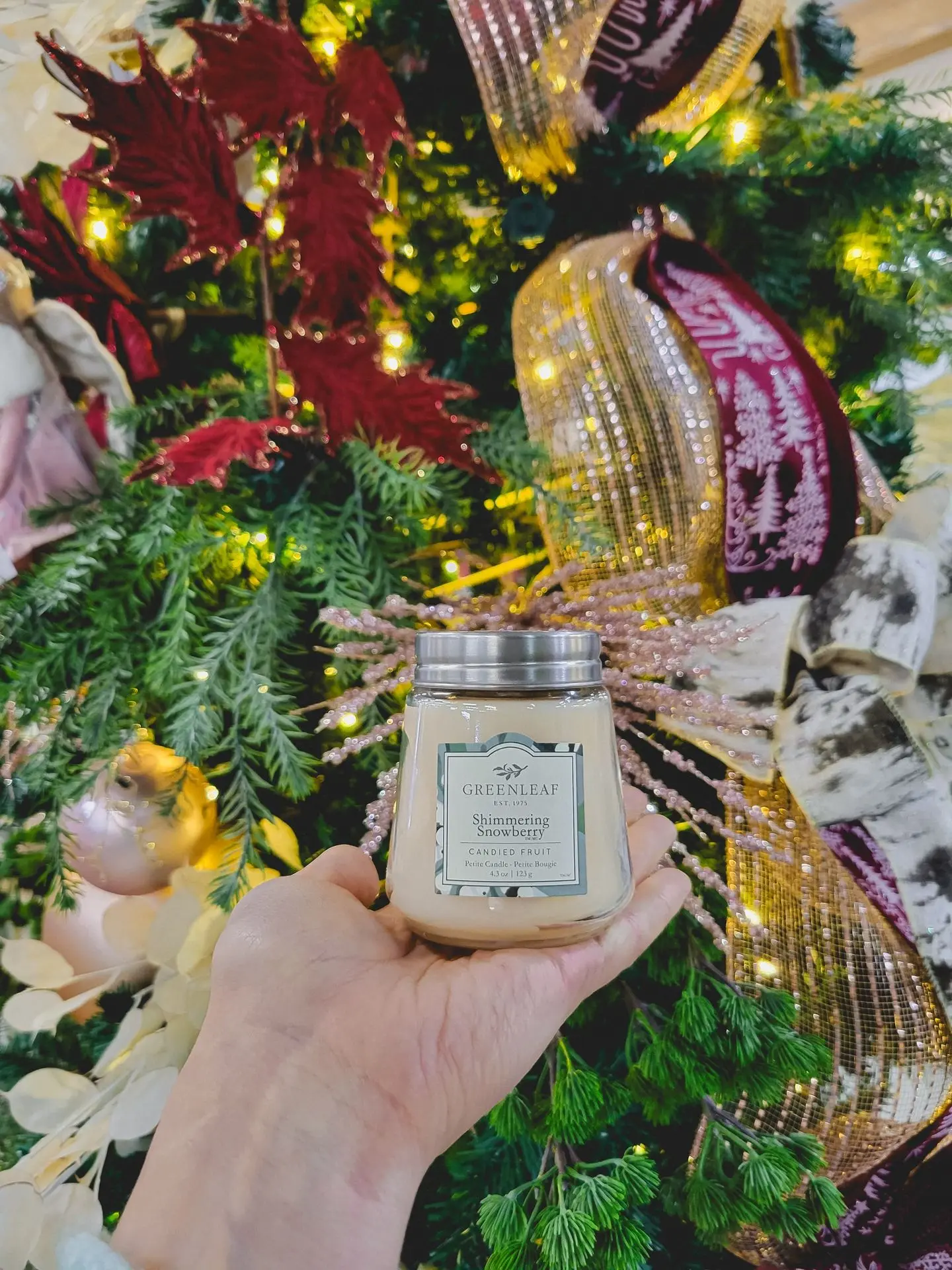 Accueil_Noël_Chandelle_Serres St-élie