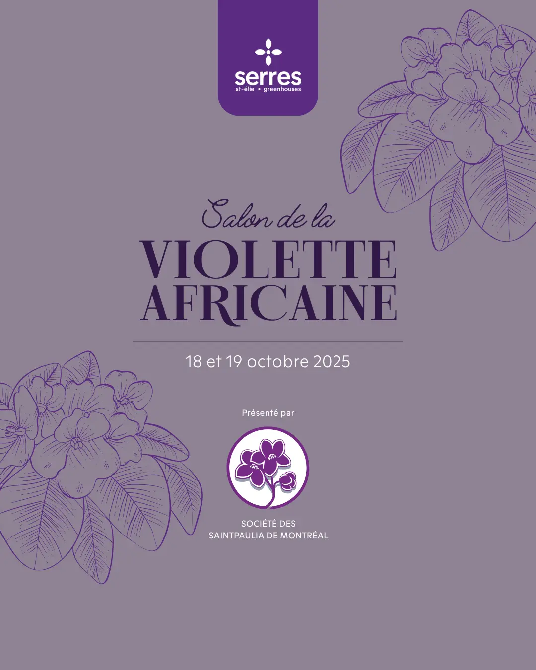 Salon de la Violette Africaine 2025 Salon de la Violette Africaine Serres St-Élie