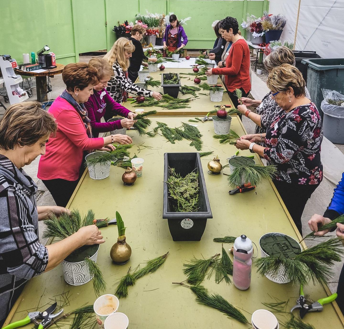 Atelier Centre de table naturel Amaryllis Serres St-Élie