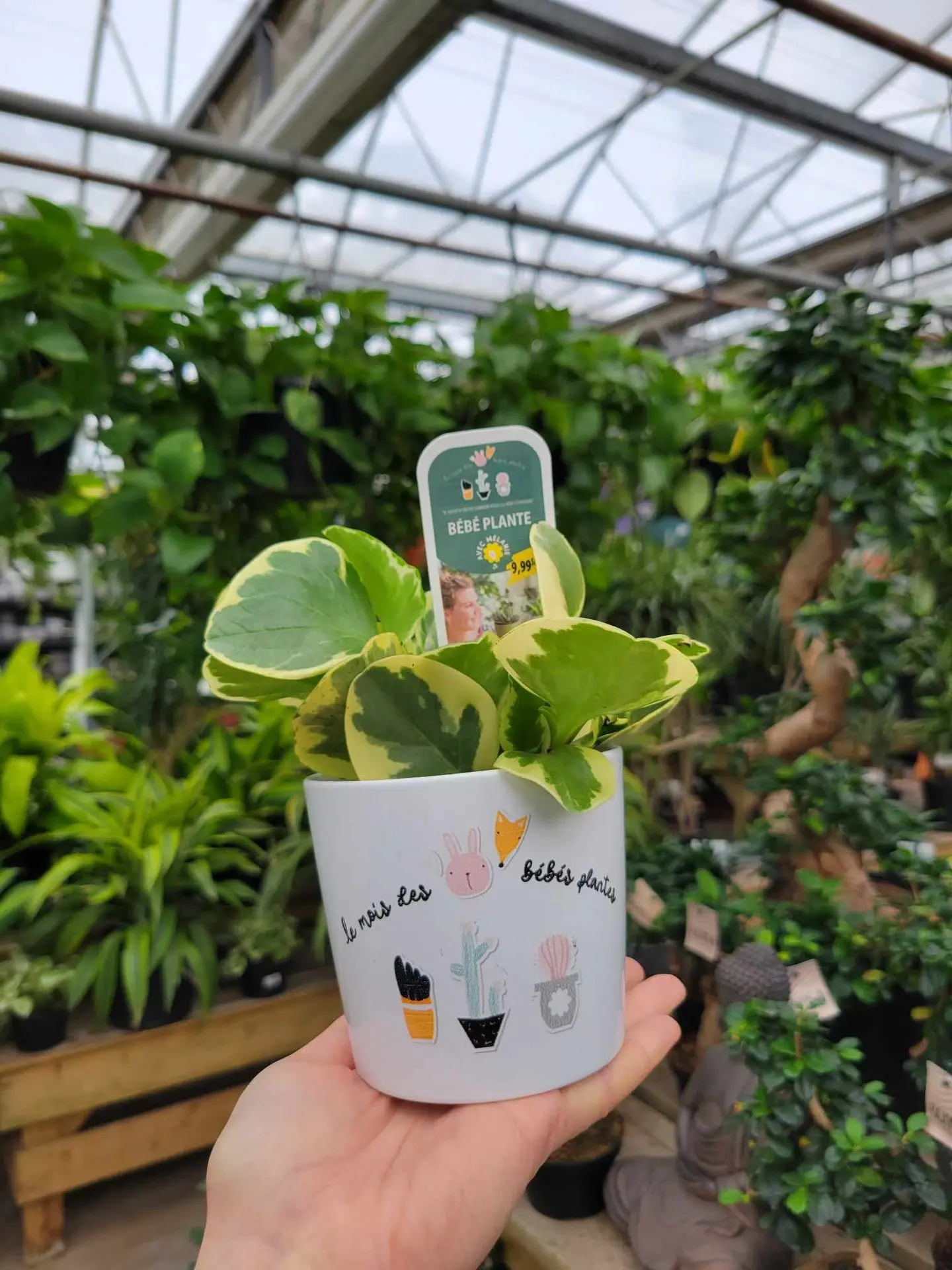 Serres St-Élie_Partenaire_mois des bébés plantes