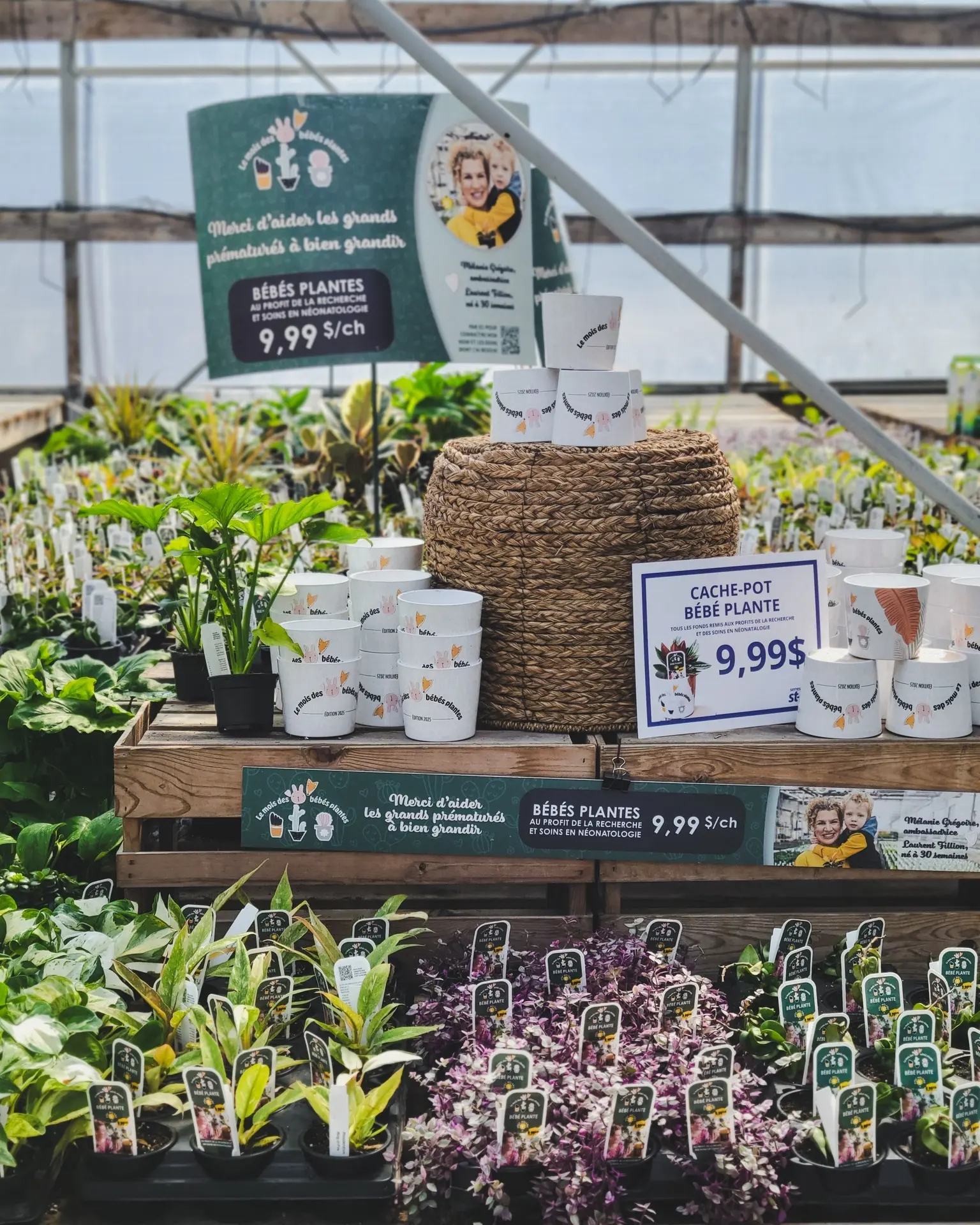 Serres St-Élie_Partenaire_mois des bébés plantes