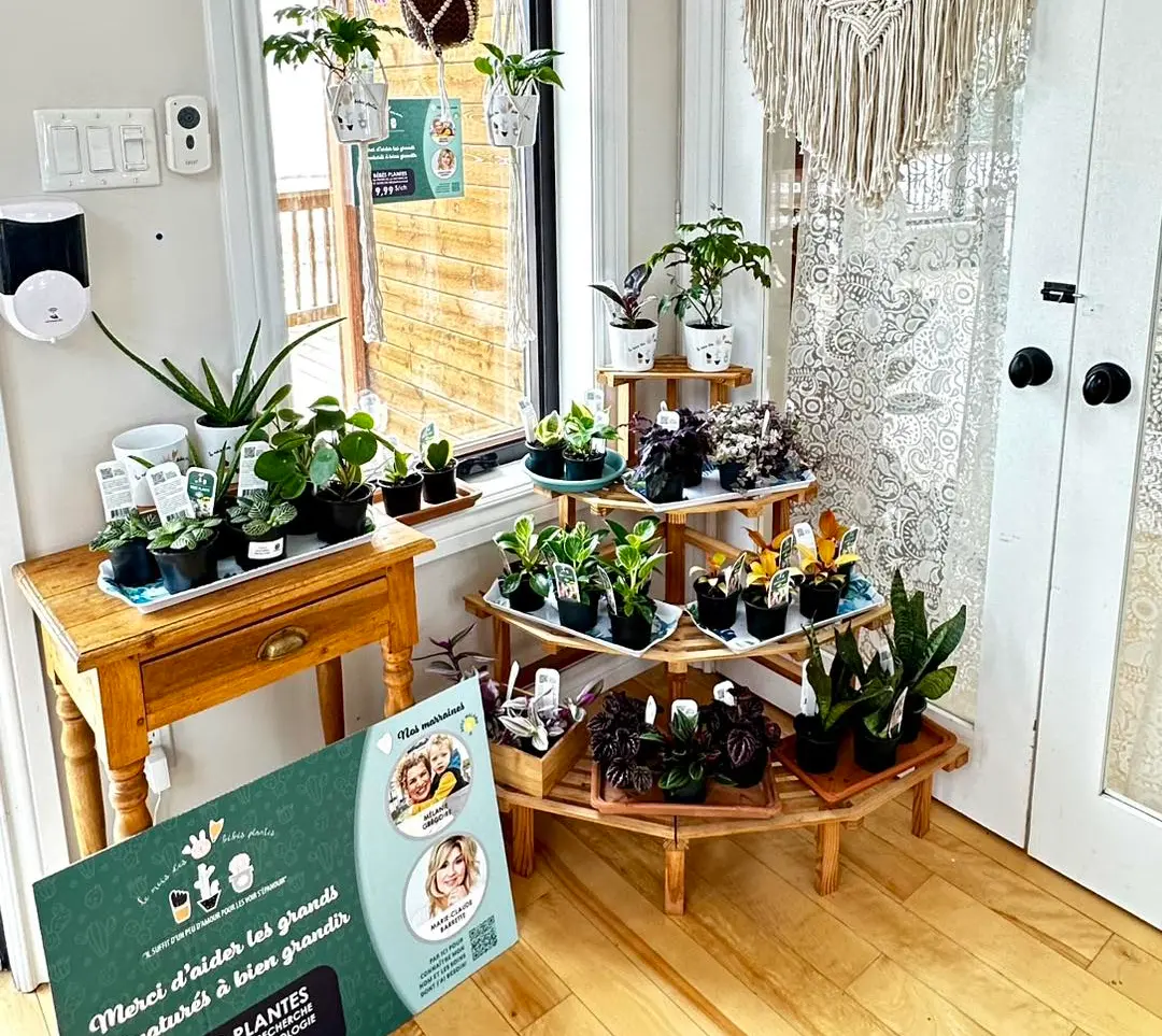 Serres St-Élie_Partenaire_mois des bébés plantes