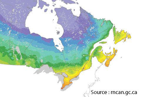 Zones de rusticité _ Québec