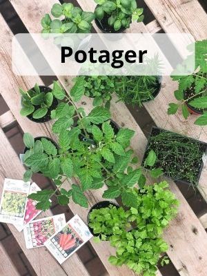 Boutique en ligne _ Potager _ Légumes et semences Boutique en ligne _ Potager _ Légumes et semences