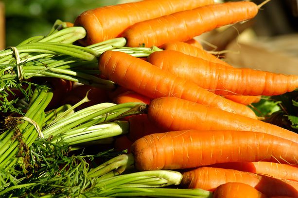 Potager_carotte Potager_carotte