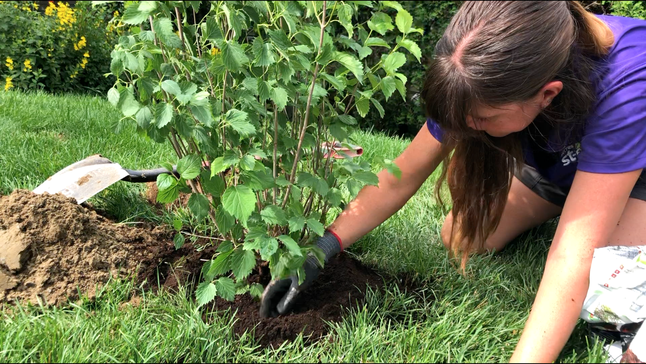 Blogue_Plantation de végétaux_ Rétention d'eau