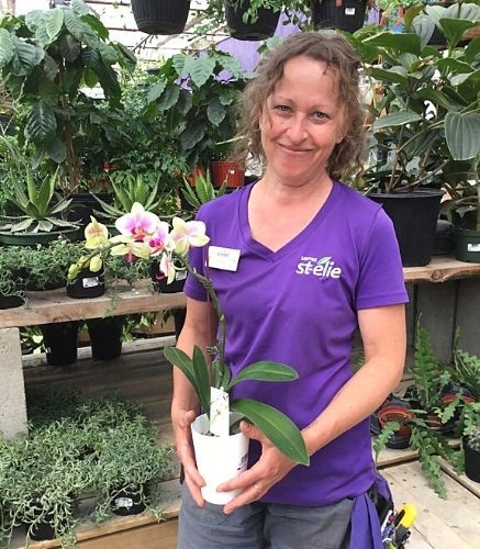 Blogue_Rempotage_Plantes d'intérieur_Employé Serres St-Élie Blogue_Rempotage_Plantes d'intérieur_Employé Serres St-Élie