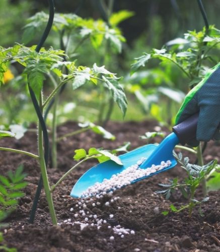 Blogue_10 commandement du potager_Jardin_Engrais